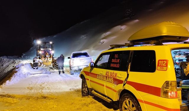 Van’da kar ve tipi hastalara geçit vermedi! Ekiplerden zorlu mesai