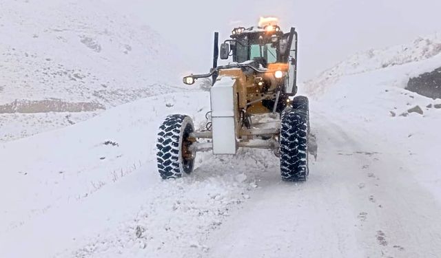 Van’da kar ve tipi nedeniyle 625 yerleşim yerinin yolu kapandı