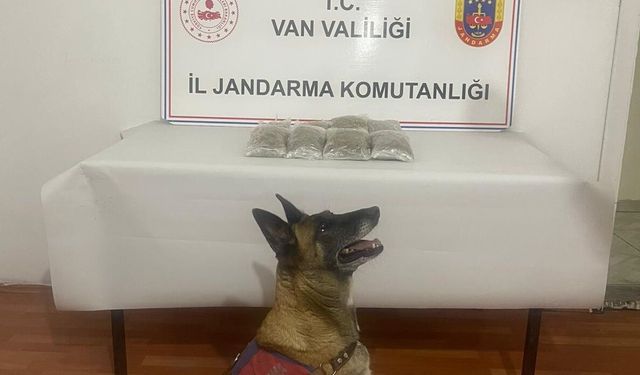 Van’da yol kontrolünde esrar ele geçirildi!