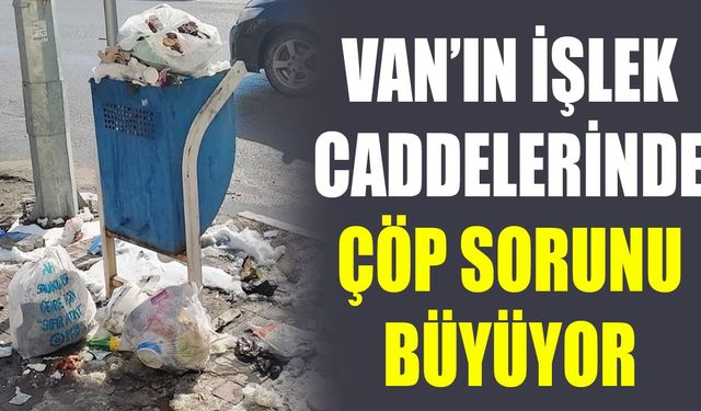 Van’ın işlek caddelerinde çöp sorunu büyüyor