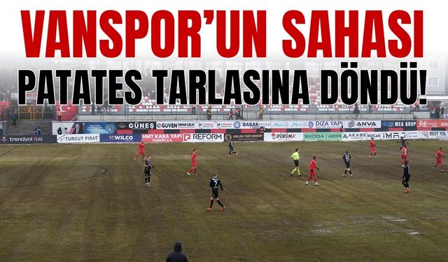 Vanspor'un sahası patates tarlasına döndü!