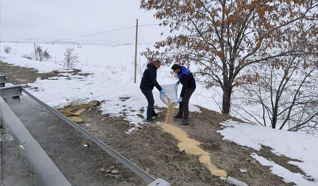 Erciş’te yaban hayvanları için doğaya yem bırakıldı