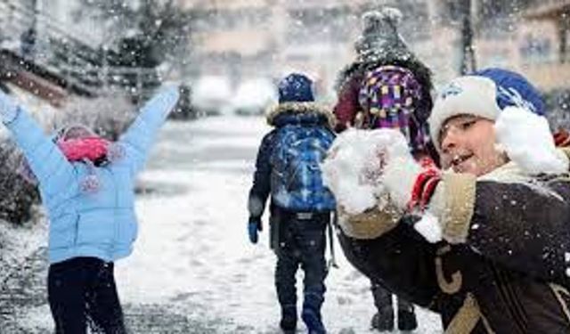 Son Dakika! Van'da yarın okullar tatil edildi