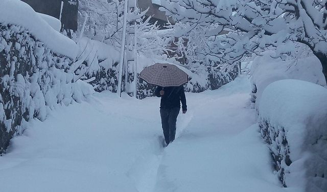 Meteorolojiden Bitlis’e kuvvetli kar yağışı uyarısı!