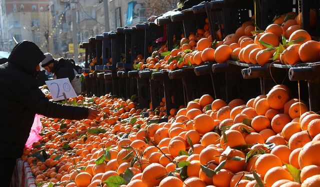 Van'da 06 Şubat Hal Fiyatları: Meyve ve Sebze Fiyatları Ne Kadar?