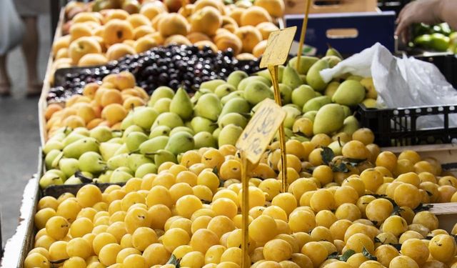 Van'da 19 Şubat Hal Fiyatları: Meyve ve Sebze Fiyatları Ne Kadar?