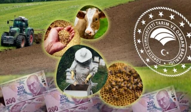 Van’da 2025 yılı temel ve planlı üretim desteği askı icmalleri yayınlandı