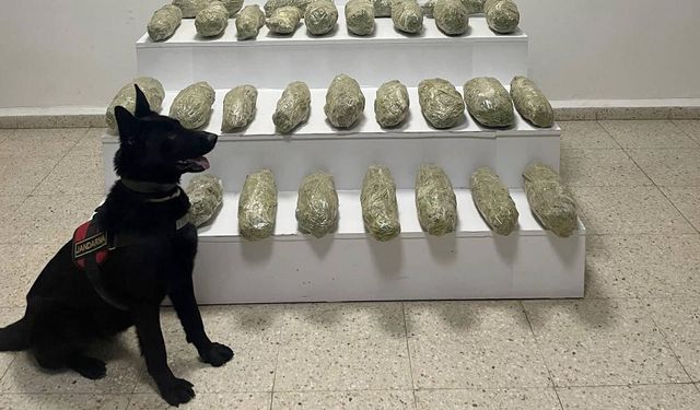 Van’da 21 kilo skunk ele geçirildi!
