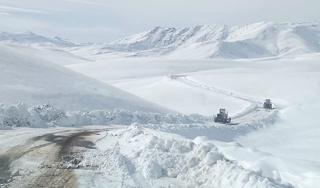 Van'da 76 yerleşim yerinin yolu ulaşım yok!
