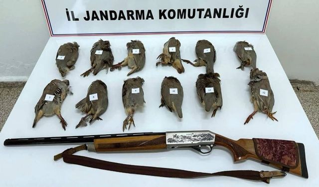 Van’da kaçak avcılığa 81 bin TL ceza!