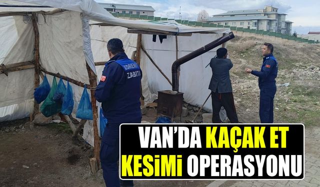 Van’da kaçak et kesimi operasyonu