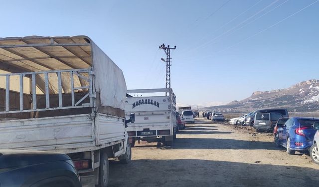 Van'da kaçak hayvan kesimi denetimi!