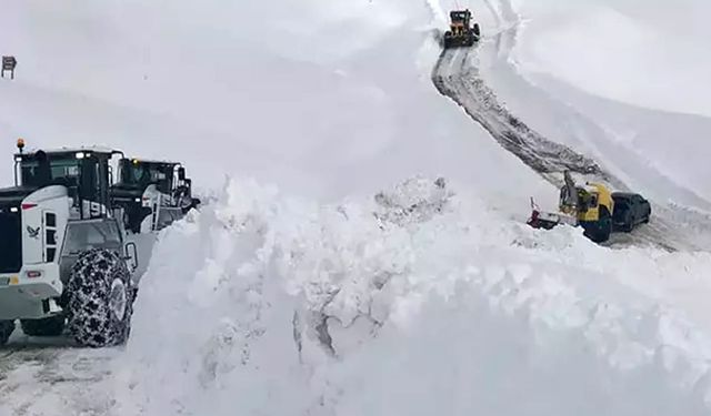 Van’da kar alarmı: Hangi ilçelerde yollar kapandı?