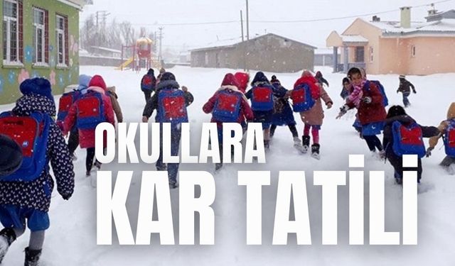 Van'da kar nedeniyle birçok ilçede okullar tatil edildi