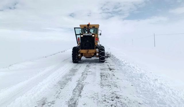 Van’da kardan kapanan yol sayısı belli oldu! Birçok mahalleye ulaşılamıyor