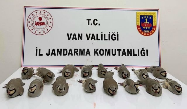 Van’da keklik avcılarına ceza yağdı