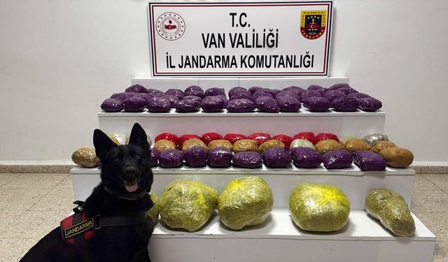 Van’da kırsalda operasyon