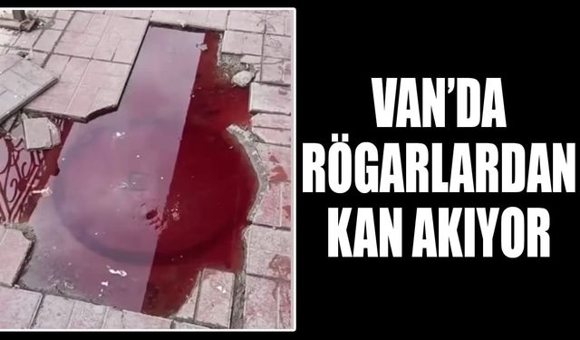 Van’da rögarlardan kan akıyor
