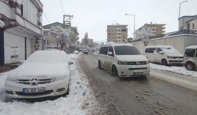 Van'da kar yağışı...