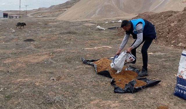 İpekyolu’nda sokak hayvanlarına mama desteği