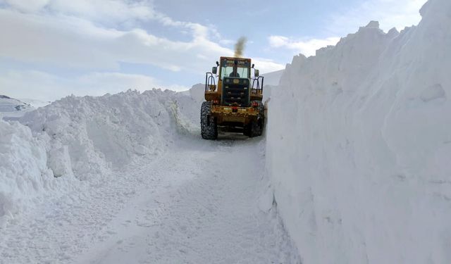 Van genelinde kapalı yol sayısı açıklandı