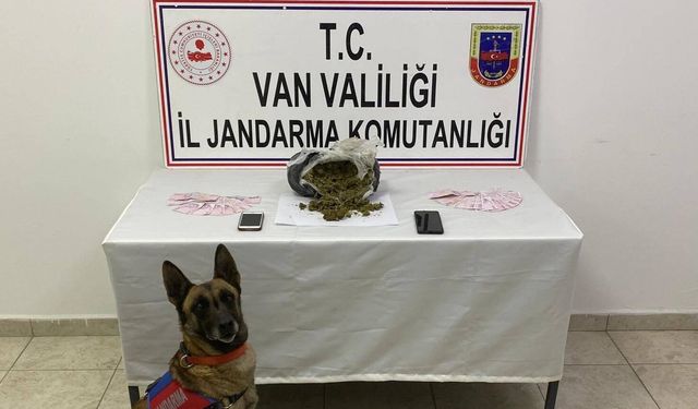Van İpekyolu’nda 1 kilo 64 gram skunk maddesi ele geçirildi