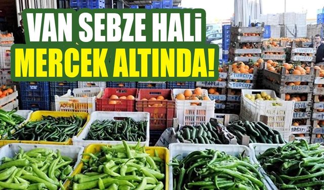 Van sebze hali mercek altında!