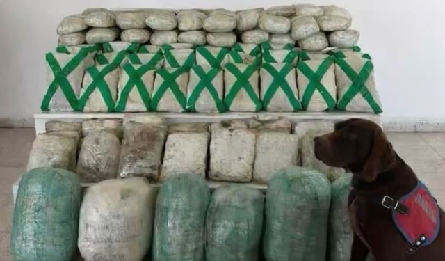 Van ve Hakkari’de dev operasyon