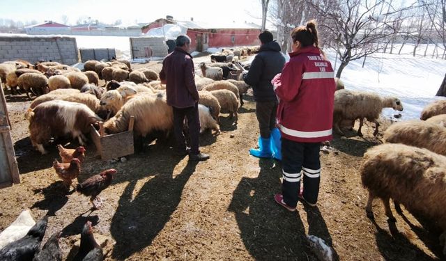 Van’da 259 bin 793 küçükbaş hayvan dağıtıldı