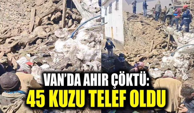 Van’da ahır çöktü: 45 kuzu telef oldu