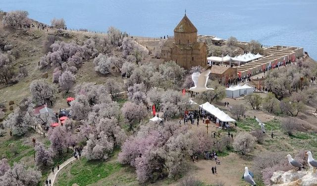 Van’da Akdamar Badem Çiçeği Festivali için geri sayım başladı