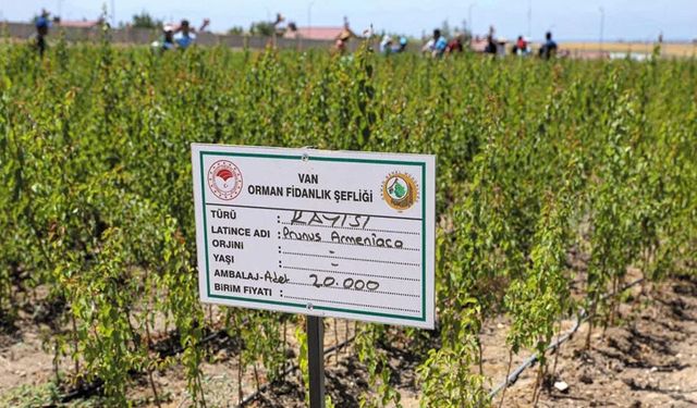 Van’da çiftçilere büyük destek: 650 bin meyve fidanı dağıtılacak