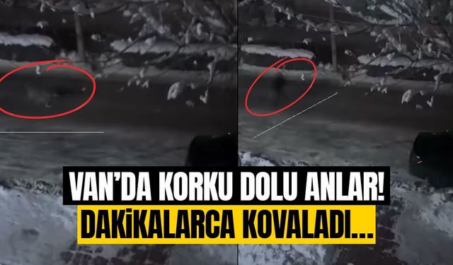 Van’da korku dolu anlar! Dakikalarca kovaladı…