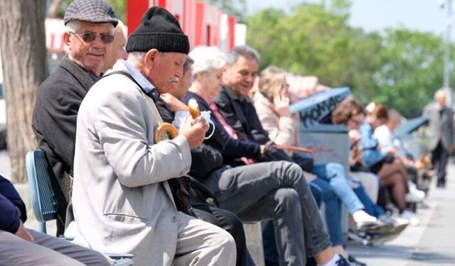 Van’da yaşlı nüfusun kaçı erkeklerden oluşuyor?