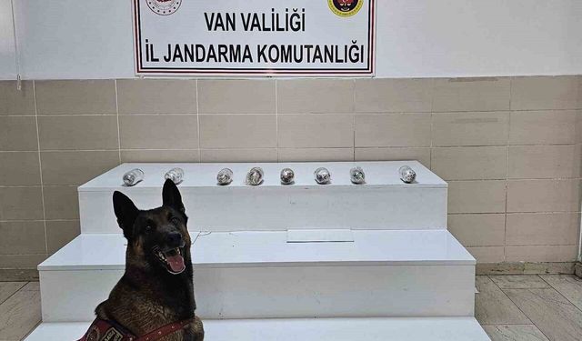 Van’da 1 kilo 256 gram Kubar Esrar Ele Geçirildi