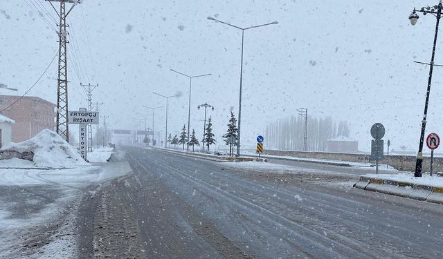 Çaldıran güne kar yağışıyla uyandı!