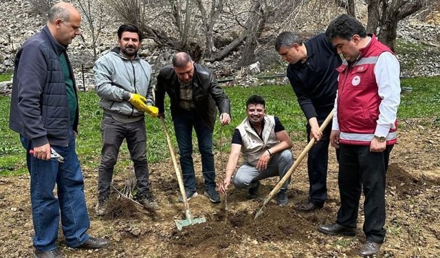 Çatak’ta binlerce fidan toprakla buluştu