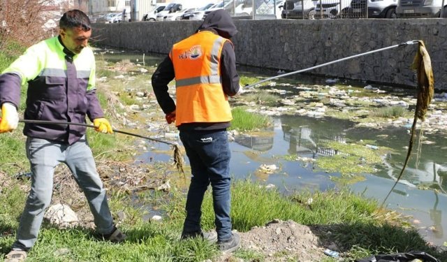 Van'daki derelerde İnci Kefali Balığı göçü hazırlığı