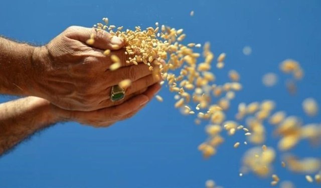 Küresel gıda alarmı! Risk büyüyor