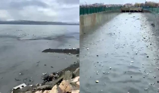 Van Gölü tehdit altında