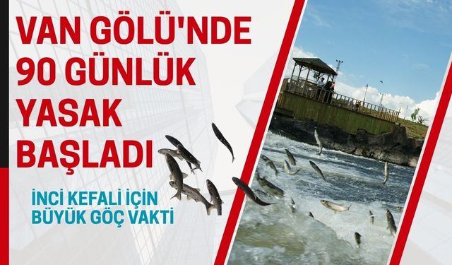 Van Gölü'nde 90 günlük yasak başladı: Büyük göç vakti