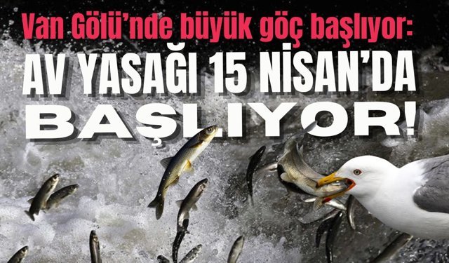Van Gölü’nde büyük göç başlıyor: Av yasağı 15 Nisan’da başlıyor!
