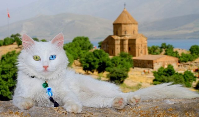 Van’da fotoğraf çekilecek en güzel noktalar