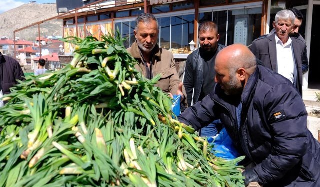 Van’da şifa kaynağı çiriş, tezgahlardaki yerini aldı