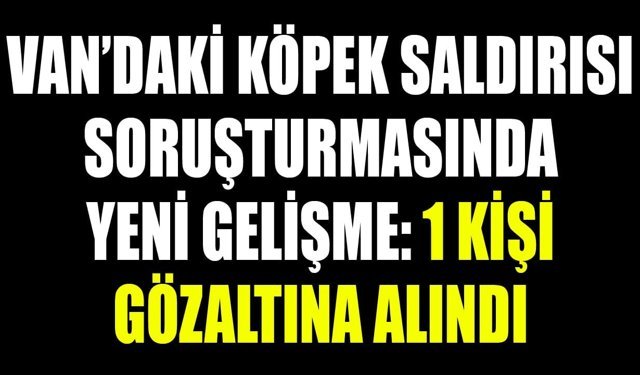 Van’daki köpek saldırısı soruşturmasında yeni gelişme: 1 kişi gözaltına alındı