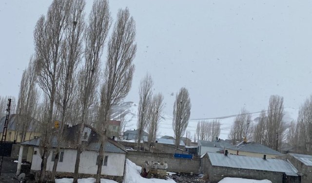 Van’ın ilçelerinde kar yağışı etkili oluyor!