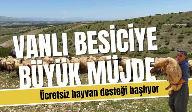 Vanlı besiciye büyük müjde: Ücretsiz hayvan desteği başlıyor
