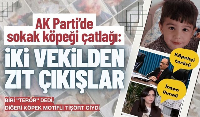 AK Parti’de sokak köpeği çatlağı: İki vekilden zıt çıkışlar