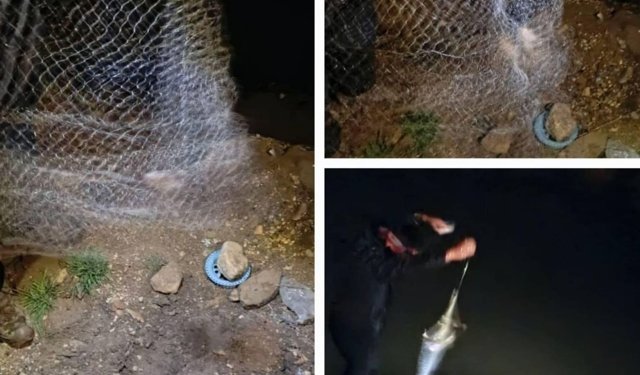 Van'da kaçak balık avına geçit yok