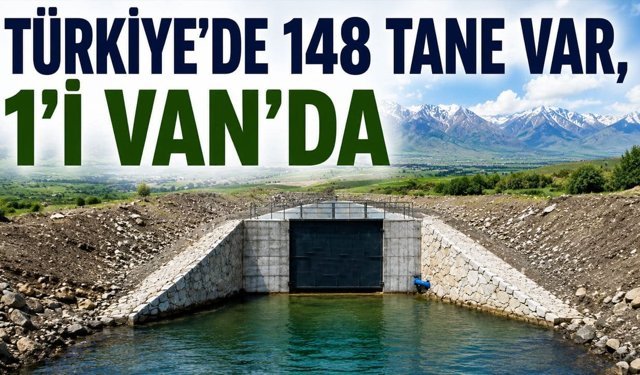 Türkiye’de 148 tane var, 1’i Van’da